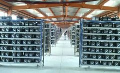 郑州公安机关联合相关部