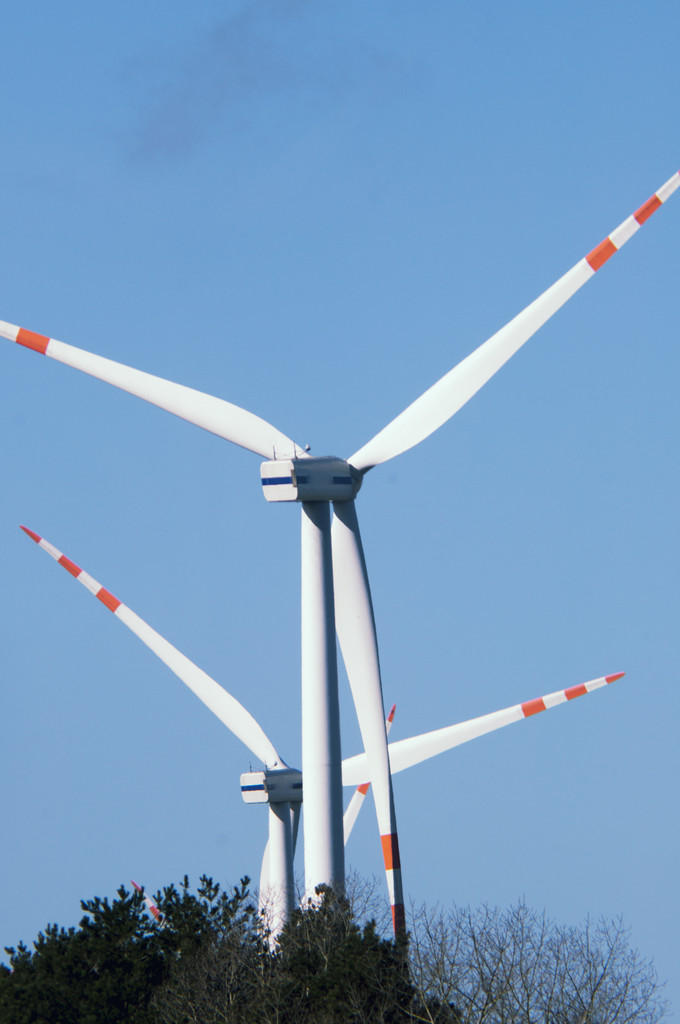 5日累计涨幅2.65%