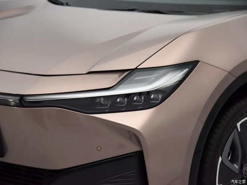 立陶宛新总理鲁吉尼埃内向我国低头认错